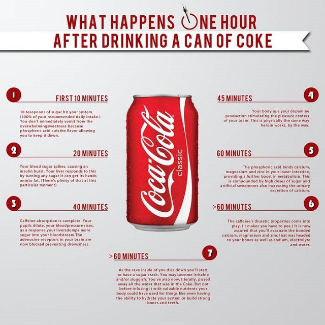 Thành phần của Coca là gì?