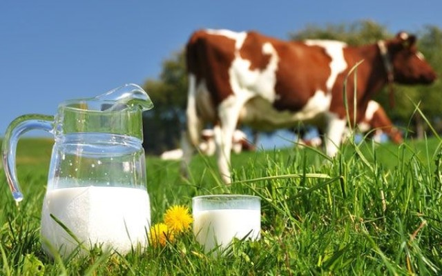 Sữa có gây hại đến sức khỏe hay không?