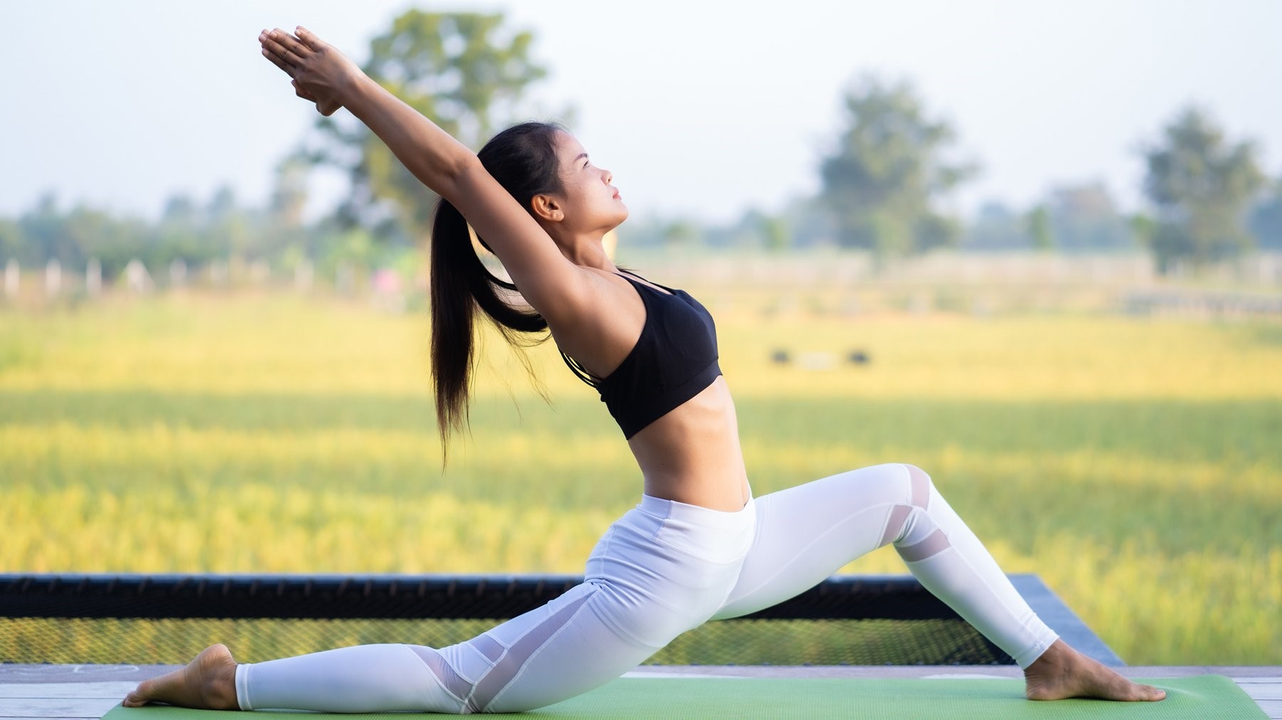 Thông tin tổng quát về bộ môn yoga