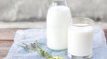 Uống sữa có béo không?